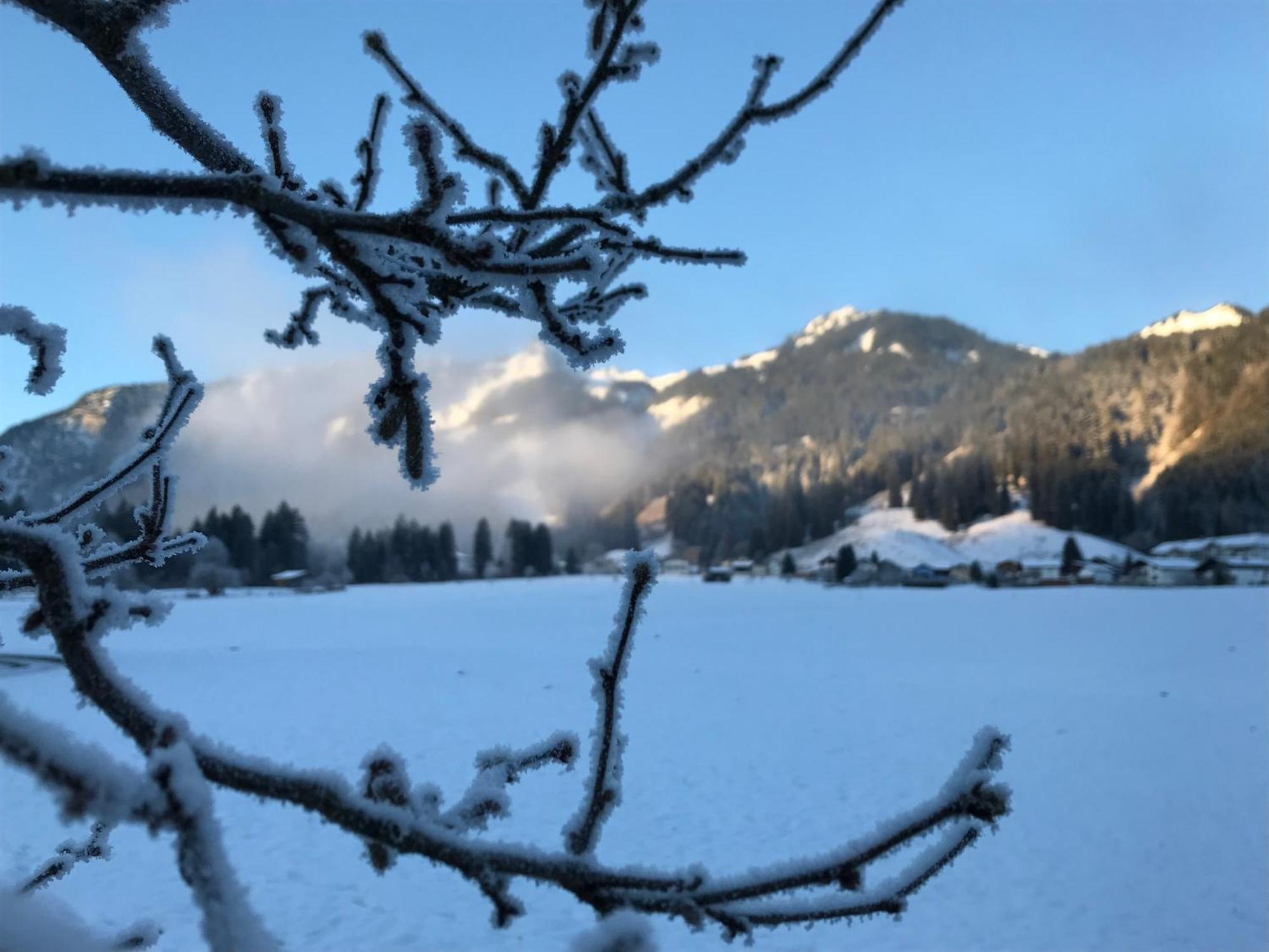 Pension Talblick In Waengle Bei Reutte Eksteriør billede